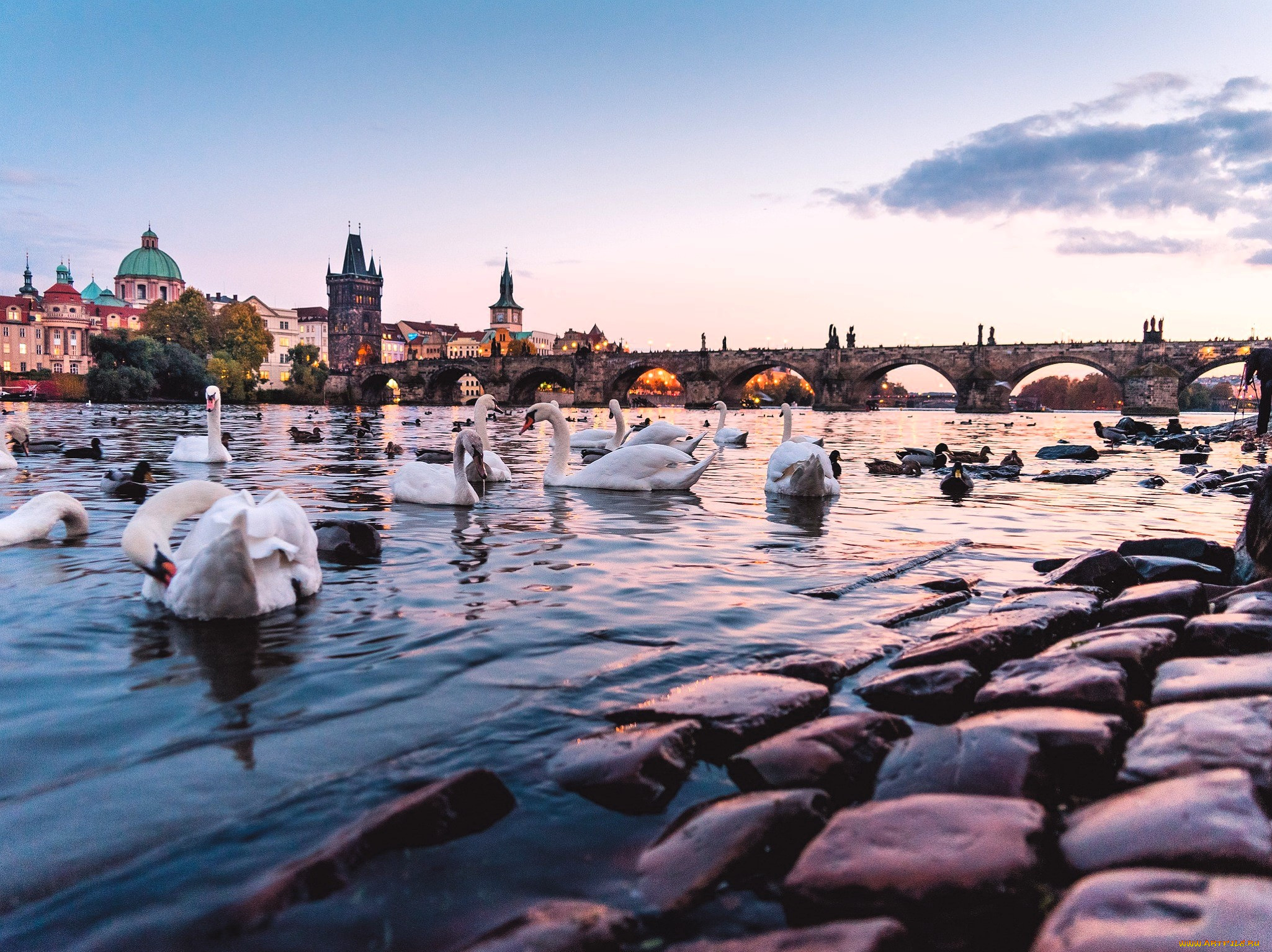 charles bridge in prague, ,  , , , , , , , 